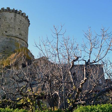 L'Agrumeto Forio di Ischia Exteriér fotografie