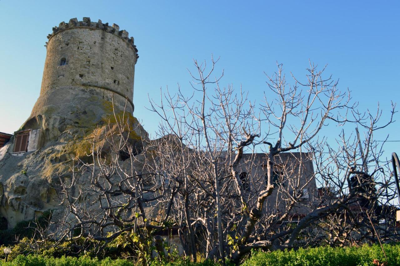 L'Agrumeto Forio di Ischia Exteriér fotografie